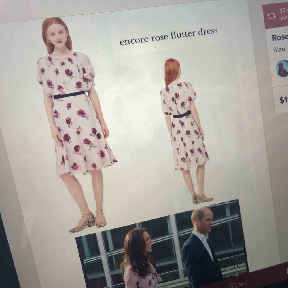 Kate Spade Rose Chiffon Flutter Dress